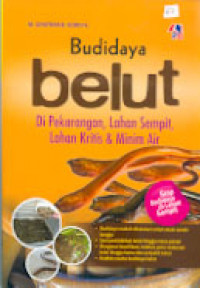 BUDIDAYA BELUT: Di Pekarangan, Lahan Sempit, Lahan Kritis & MInim Air