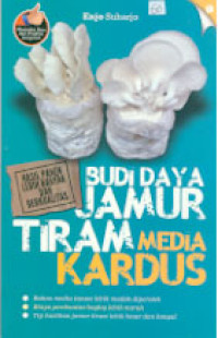 BUDIDAYA JAMUR TIRAM MEDIA KARDUS