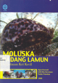 MOLUSKA PADANG LAMUN : Kepulauan Kei Kecil