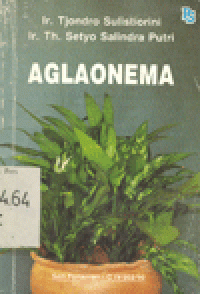 AGLAONEMA