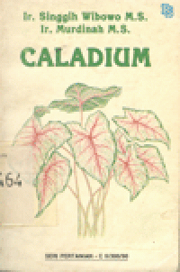 CALADIUM