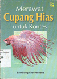 MERAWAT CUPANG HIAS UNTUK KONTES